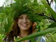 leaves.jpg